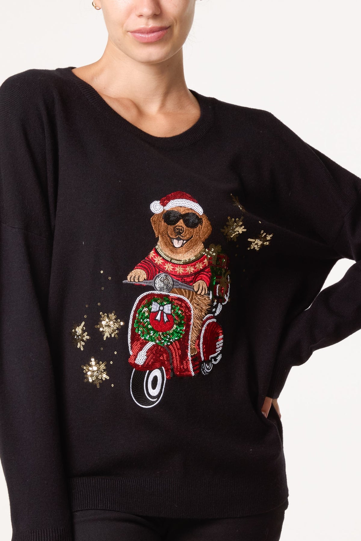 Coco Christmas Sequin Detail Appliqué Dog Jumper